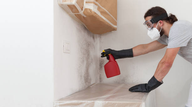 Professional Bathroom Mold Removal technician working in Rawlings, MD