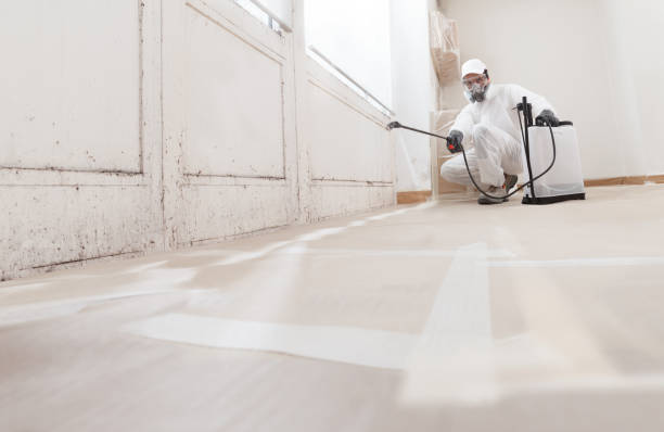 24/7 Emergency Bathroom Mold Removal experts in Rawlings, MD